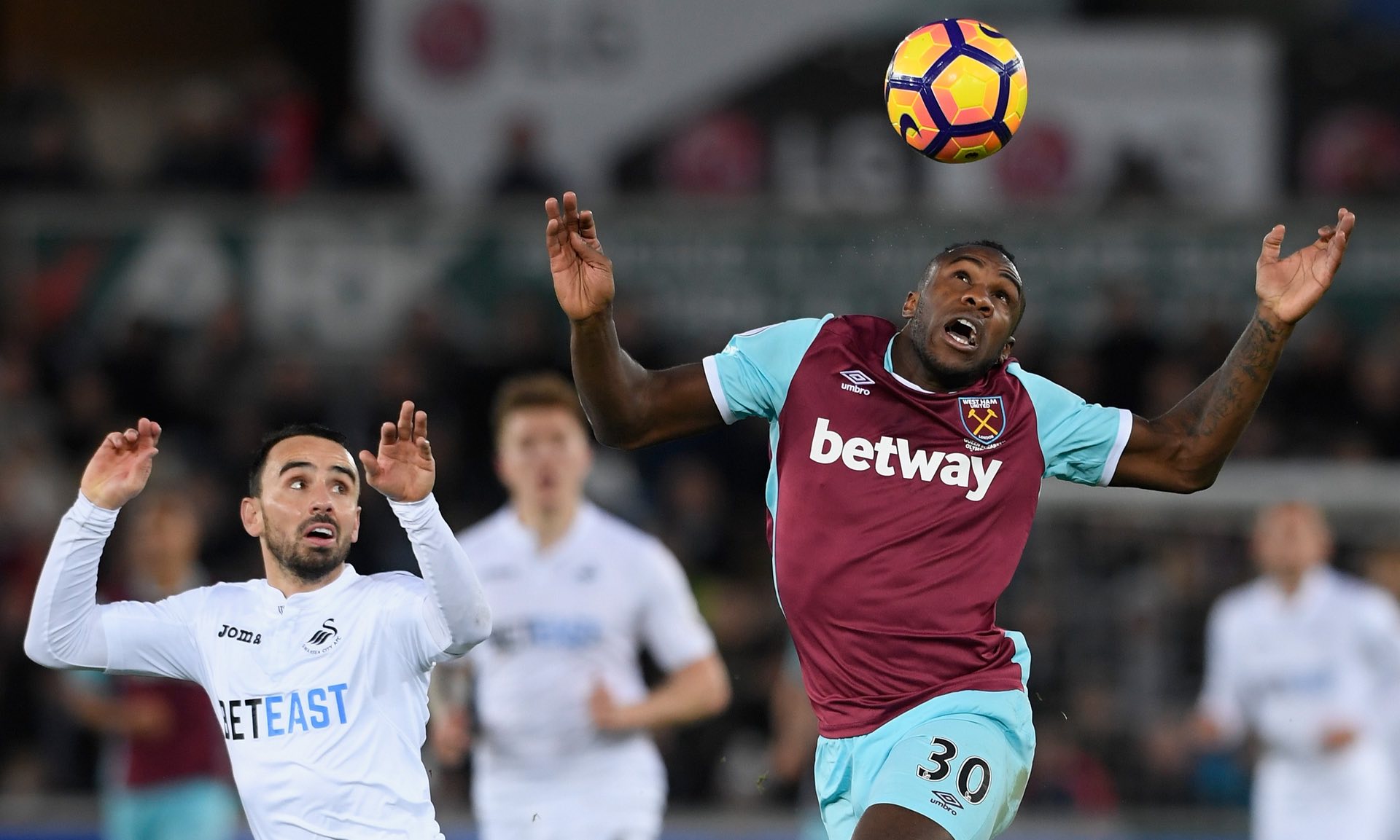 进行针对性 进行针对性